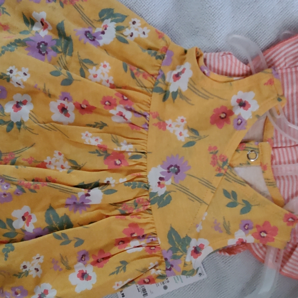 Carter's Baby Girl (0-3 mon) 2 piece outfit and romper (2 in one)